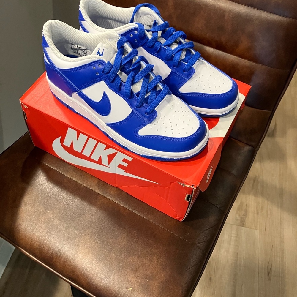 Nike Dunk